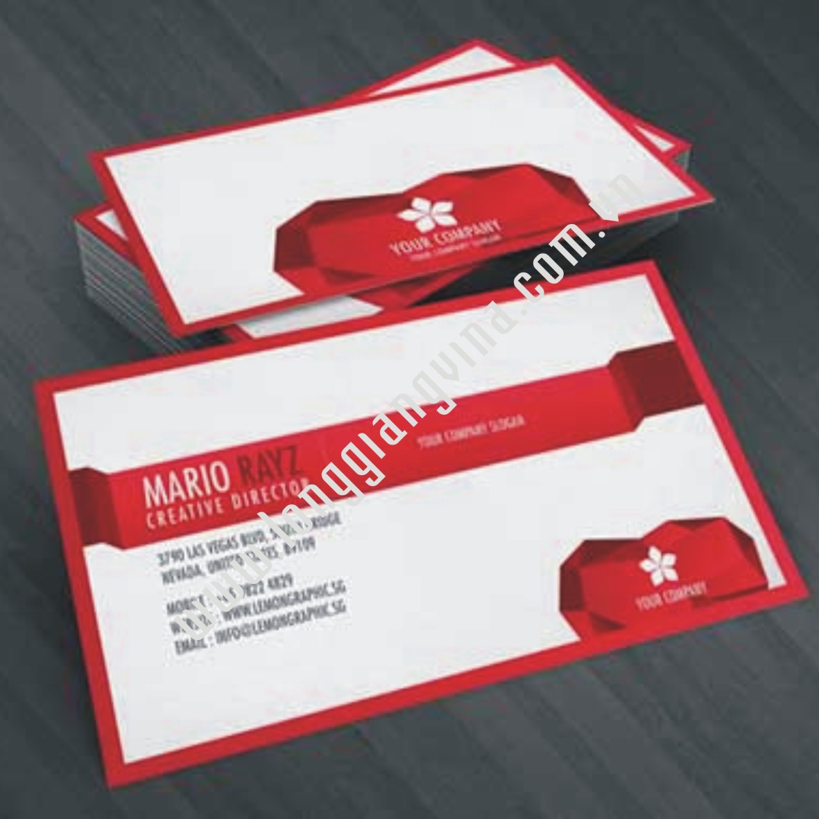 Card visit 04