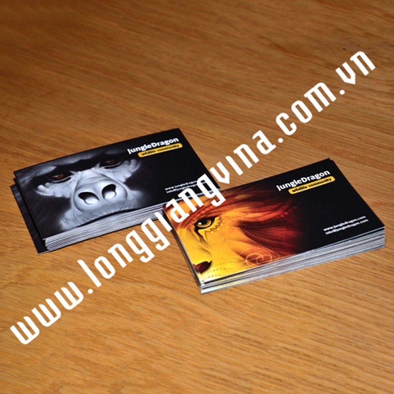 Card visit 06